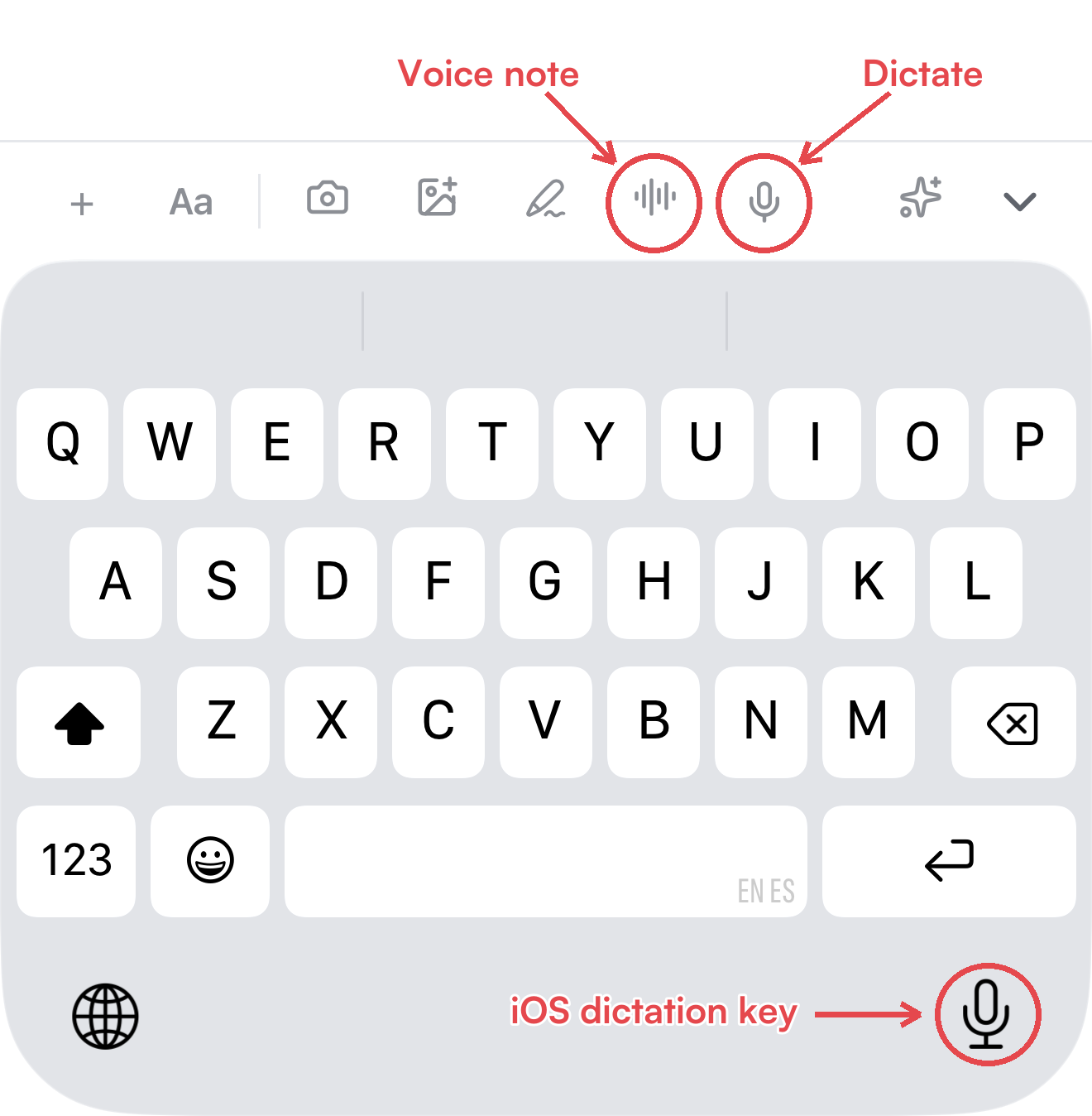 L’écran de capture sur un iPhone, avec les boutons Note vocale et Dicter entourés dans la barre d’outils et la touche de dictée iOS entourée sur le clavier