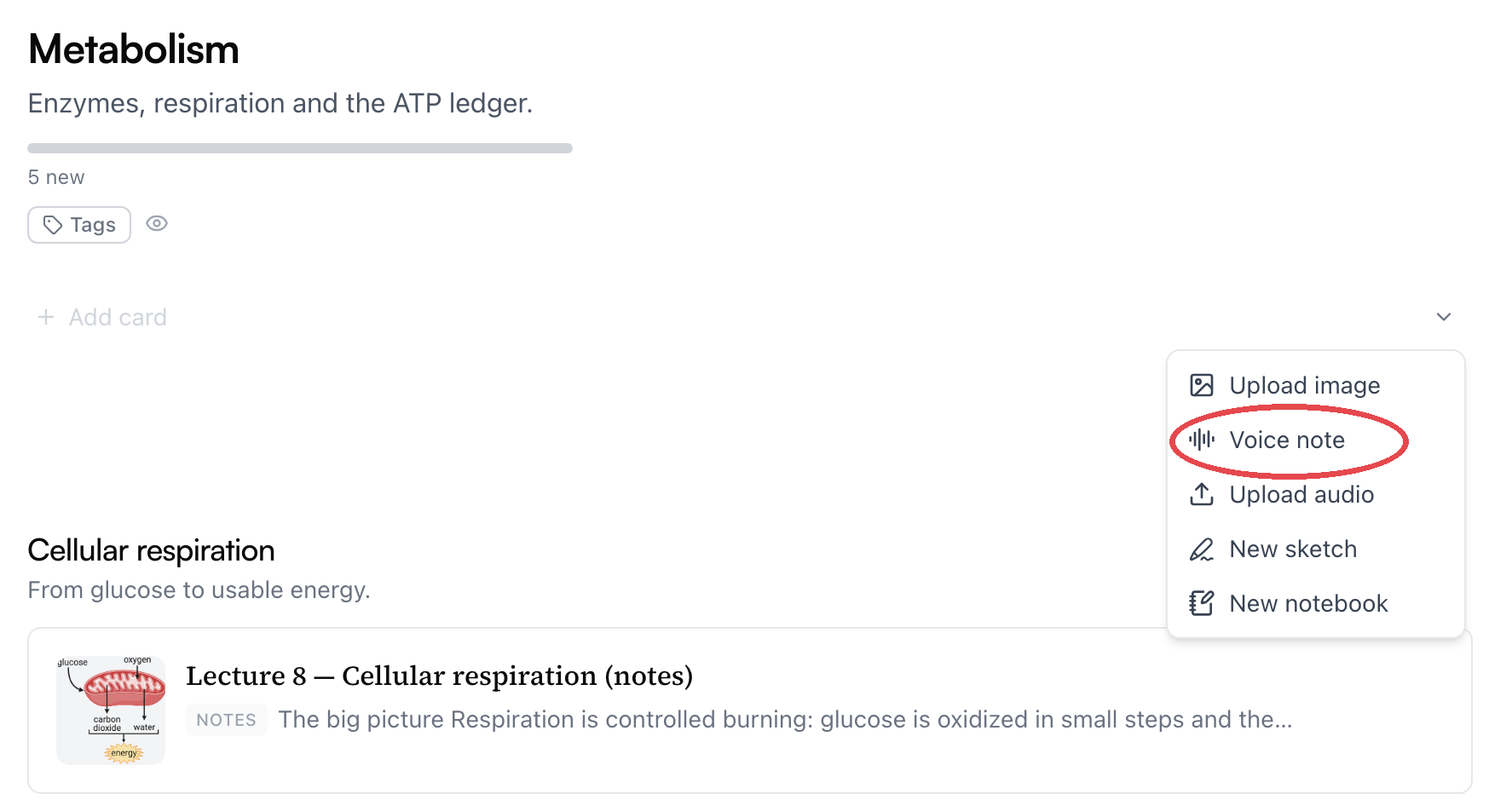 The More ways to add menu open on a class topic, with the Voice note option circled