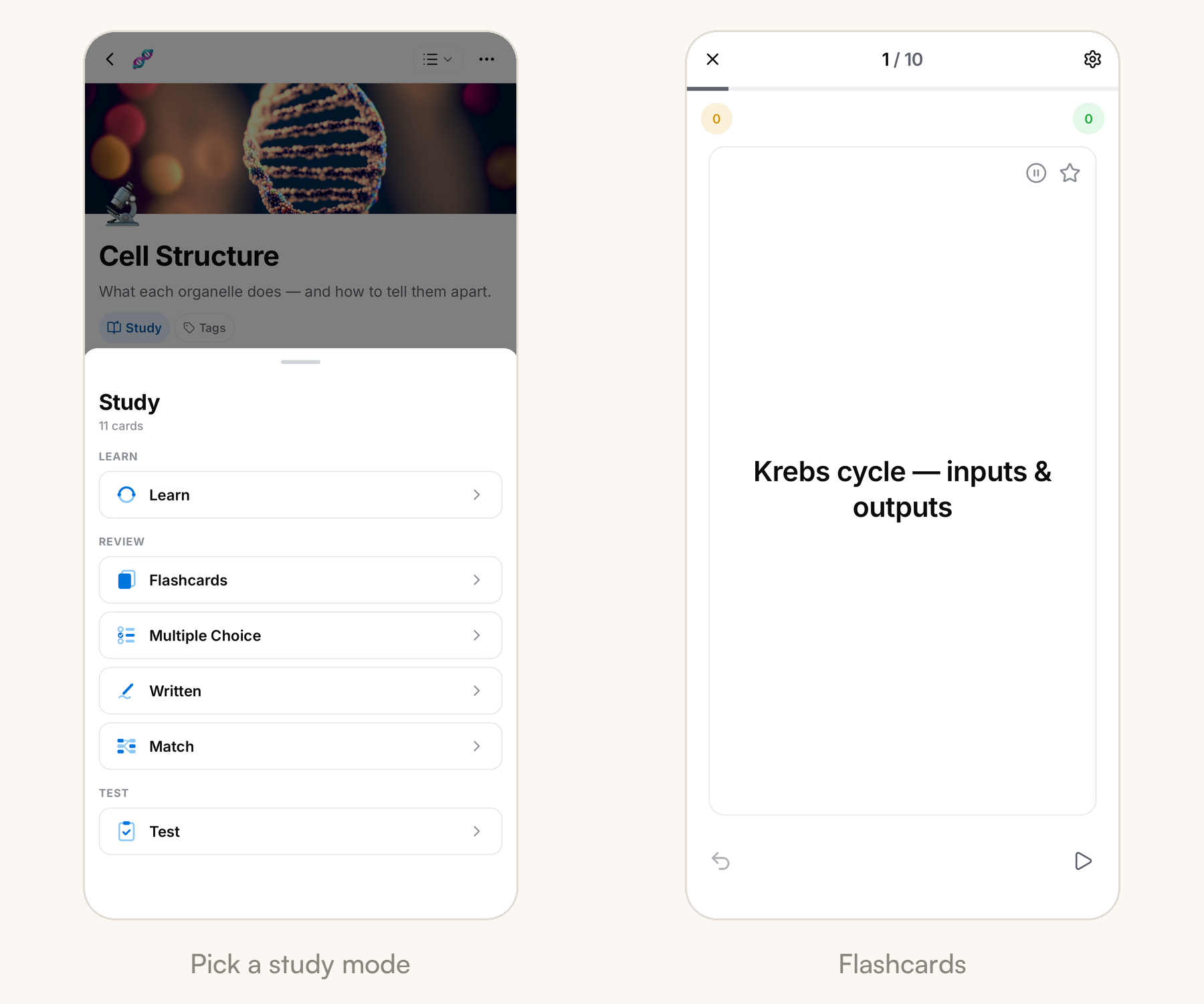 Two phone screens — the Study sheet listing every mode for a topic, and a flashcard session showing a question
