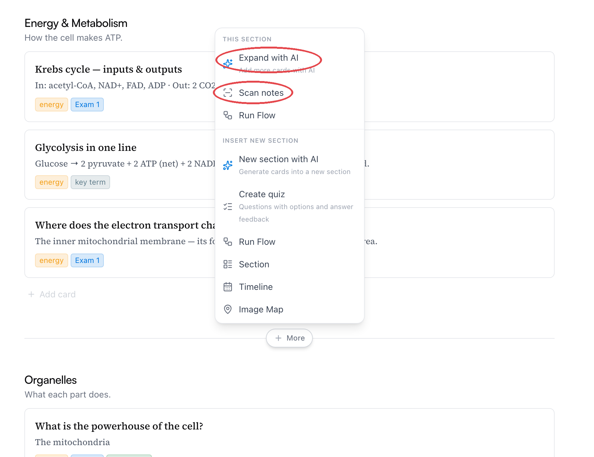 L’insertion ouverte entre deux sections — un bouton + Plus sur le séparateur, avec un menu proposant Section, Nouvelle section avec l’IA, Créer un quiz, et plus encore
