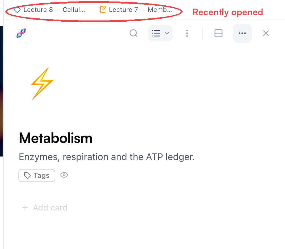 The recents strip above the side pane — chips for a card and a notebook you had open before, circled in red