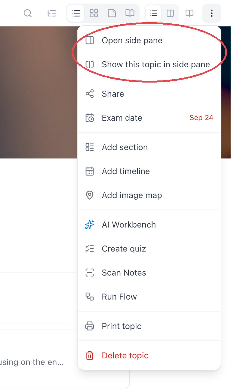 The topic's ⋯ menu, with the two side pane entries at the top circled in red