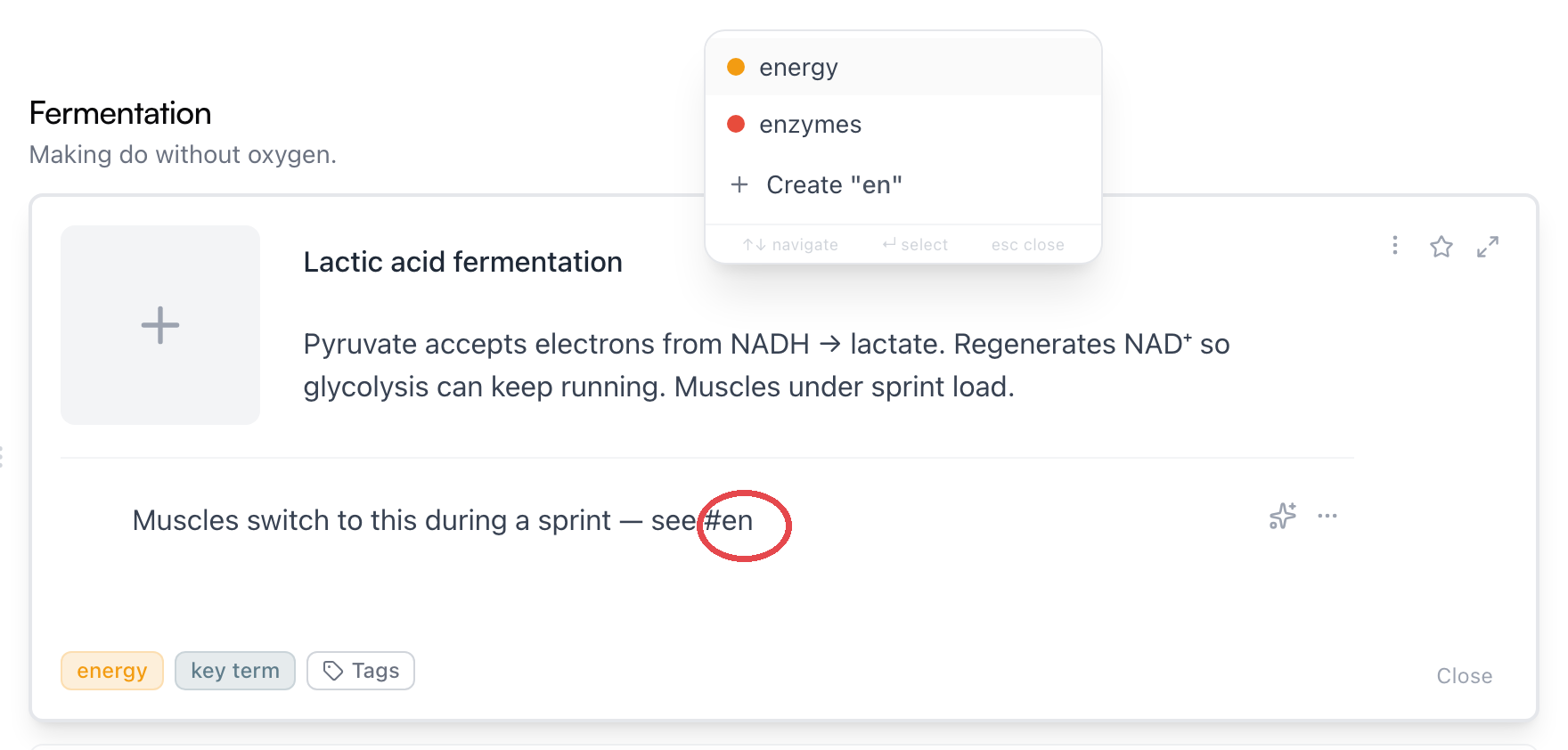 Typing #en in a card's notes — the menu offers energy and enzymes, plus a Create option