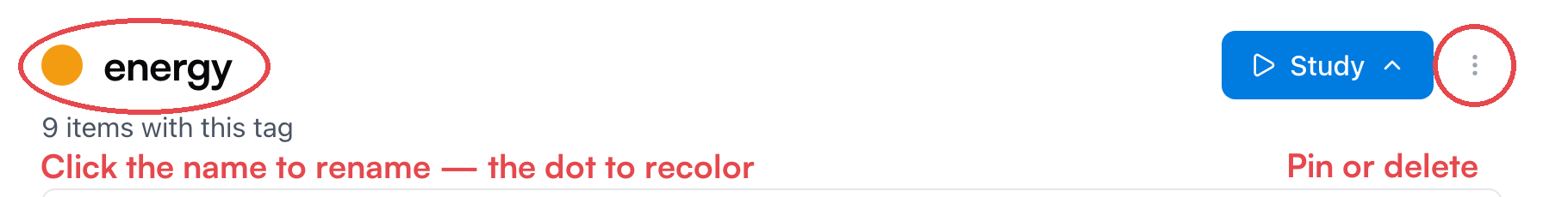 The tag page's header, annotated — click the name to rename, the color dot to recolor, and the ⋯ menu to pin or delete