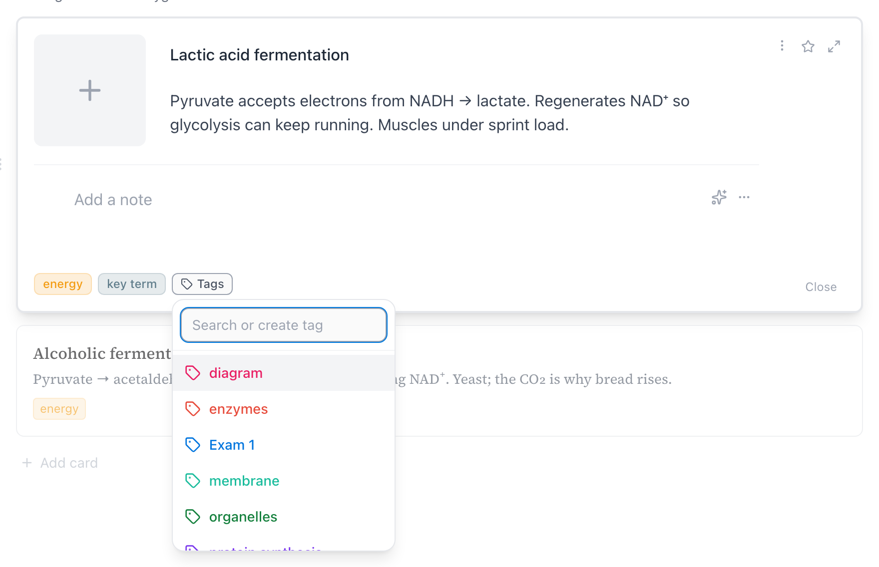 An open card's Tags button with its dropdown open — a search-or-create field above the space's tag list