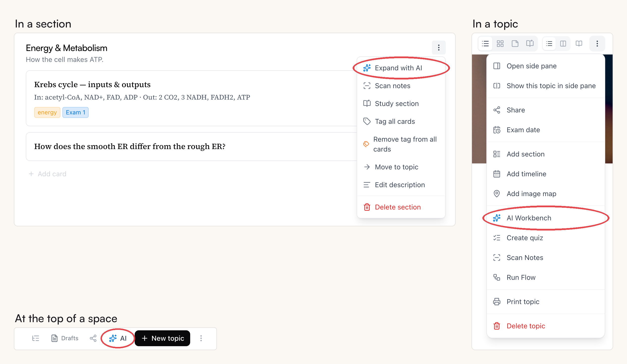 The three main doors, marked: Expand with AI in a section's ⋯ menu, AI Workbench in the topic's ⋯ menu, and the AI button at the top of a space