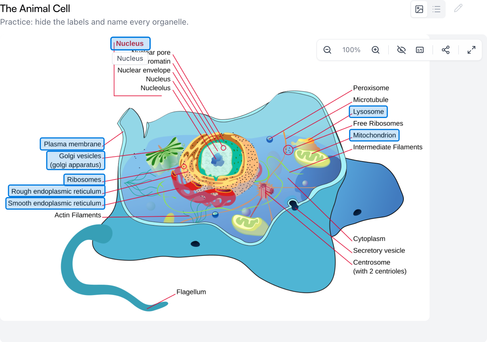 An image map section on a topic page — hotspot outlines over the diagram's printed labels, with one hovered hotspot showing its label