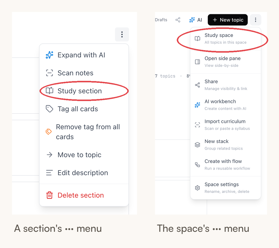 À gauche : le menu d’une section avec Réviser la section entouré. À droite : le menu d’un espace avec Étudier l’espace entouré
